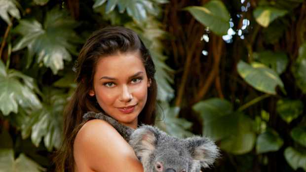 animals-michelle-v-koala1.jpg